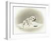 Seal-Peggy Harris-Framed Giclee Print