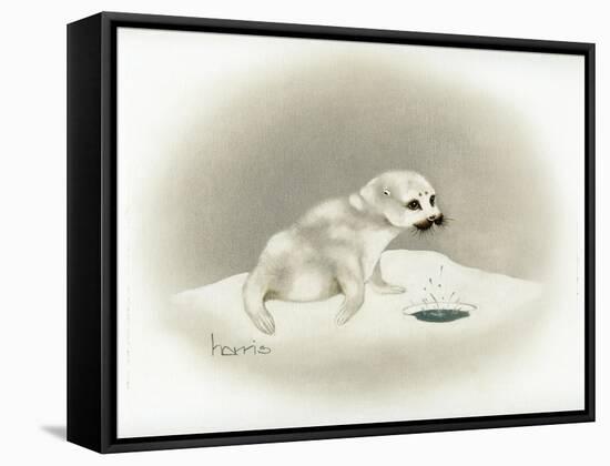 Seal-Peggy Harris-Framed Stretched Canvas