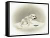 Seal-Peggy Harris-Framed Stretched Canvas