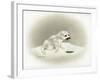 Seal-Peggy Harris-Framed Giclee Print