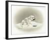 Seal-Peggy Harris-Framed Giclee Print