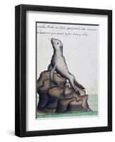 Seal-null-Framed Premium Giclee Print