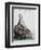 Seal-null-Framed Premium Giclee Print