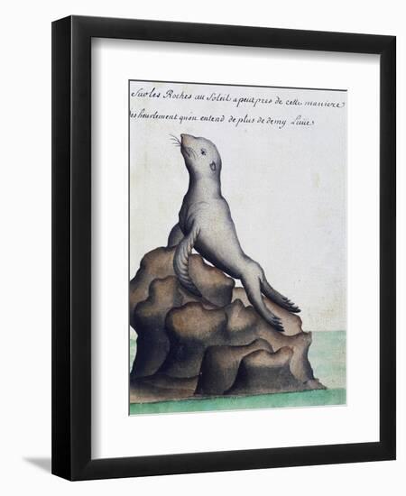 Seal-null-Framed Premium Giclee Print