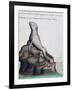 Seal-null-Framed Giclee Print