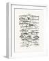 Sealife I-Oliver Goldsmith-Framed Photographic Print