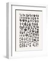 Sealife III-Oliver Goldsmith-Framed Photographic Print