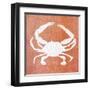 Sealife on Coral IV-Julie DeRice-Framed Art Print