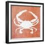 Sealife on Coral IV-Julie DeRice-Framed Art Print