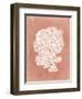 Sealife on Coral VIII-Vision Studio-Framed Art Print