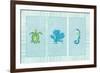 Sealife Rectangle IV-Julie DeRice-Framed Art Print