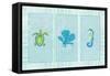 Sealife Rectangle IV-Julie DeRice-Framed Stretched Canvas