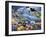 Sealife-Jenny Newland-Framed Giclee Print