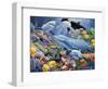 Sealife-Jenny Newland-Framed Giclee Print