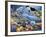 Sealife-Jenny Newland-Framed Giclee Print