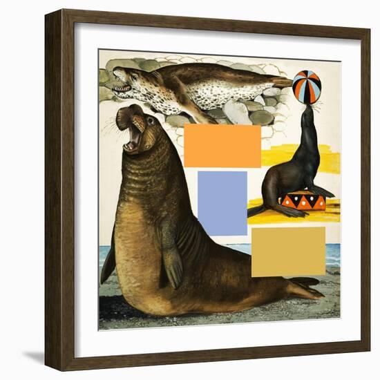 Seals and Sea-Lions, Including Seal Balancing Ball on Nose-Arthur Oxenham-Framed Giclee Print