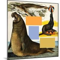 Seals and Sea-Lions, Including Seal Balancing Ball on Nose-Arthur Oxenham-Mounted Giclee Print