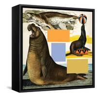 Seals and Sea-Lions, Including Seal Balancing Ball on Nose-Arthur Oxenham-Framed Stretched Canvas
