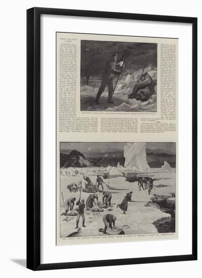 Seals and Seal Fisheries-null-Framed Giclee Print