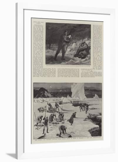 Seals and Seal Fisheries-null-Framed Giclee Print