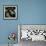 Seals Compete for Dock Space on Pier 39-null-Framed Photographic Print displayed on a wall