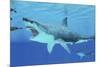 Seals Race to Get Away from a Giant Megalodon Shark-null-Mounted Art Print