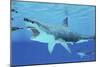 Seals Race to Get Away from a Giant Megalodon Shark-null-Mounted Premium Giclee Print