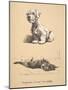 Sealyham and Rough Dachund Puppy, 1930, Illustrations from His Sketch Book Used for 'Just among Fri-Cecil Charles Windsor Aldin-Mounted Giclee Print