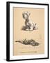 Sealyham and Rough Dachund Puppy, 1930, Illustrations from His Sketch Book Used for 'Just among Fri-Cecil Charles Windsor Aldin-Framed Giclee Print