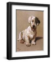 Sealyham Terrier with its Tongue Hanging Out-null-Framed Art Print