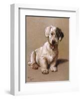 Sealyham Terrier with its Tongue Hanging Out-null-Framed Art Print