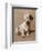 Sealyham Terrier with its Tongue Hanging Out-null-Framed Art Print