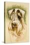 Sealyham Terrier-Barbara Keith-Stretched Canvas