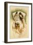 Sealyham Terrier-Barbara Keith-Framed Giclee Print