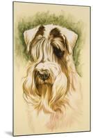 Sealyham Terrier-Barbara Keith-Mounted Giclee Print