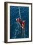 Seaman Participates in a Search and Rescue Drill-null-Framed Photographic Print