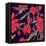 Seamless Background Flowers and Hummingbirds-Varvara Kurakina-Framed Stretched Canvas
