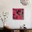 Seamless Background Flowers and Hummingbirds-Varvara Kurakina-Art Print displayed on a wall