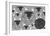 Seamless Black Sheep Illustration/Vector-lyeyee-Framed Art Print