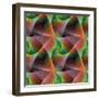 Seamless Color Fractal Veils Background-David Zydd-Framed Photographic Print