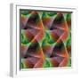 Seamless Color Fractal Veils Background-David Zydd-Framed Photographic Print