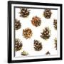 Seamless Floral Pattern on a White with Pinecone. Festive Christmas Background with Watercolor Real-Monash-Framed Art Print