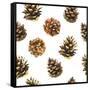Seamless Floral Pattern on a White with Pinecone. Festive Christmas Background with Watercolor Real-Monash-Framed Stretched Canvas