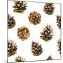 Seamless Floral Pattern on a White with Pinecone. Festive Christmas Background with Watercolor Real-Monash-Mounted Art Print