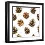 Seamless Floral Pattern on a White with Pinecone. Festive Christmas Background with Watercolor Real-Monash-Framed Art Print