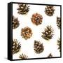 Seamless Floral Pattern on a White with Pinecone. Festive Christmas Background with Watercolor Real-Monash-Framed Stretched Canvas