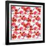 Seamless Floral Pattern with Watercolor Flowers (Poppy, Rose) and Feathers. Aquarel Background-Le Panda-Framed Art Print