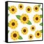 Seamless Floral Pattern-sldesign78-Framed Stretched Canvas