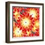 Seamless Flower Pattern in Orange Tones-Mirage3-Framed Art Print