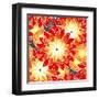 Seamless Flower Pattern in Orange Tones-Mirage3-Framed Art Print